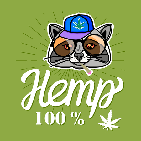 Raccoon boy in cool hip hop style. Vector for print on T-shirts and other souvenir products. Hemp lettering inscription isolated on green background.のイラスト素材