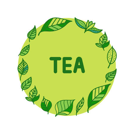Green Tea leaf. Round frame with hand drawn illustration isolated on white.のイラスト素材