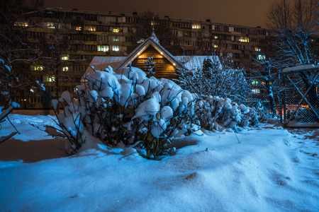small hut and bushes covered with snow, on a background of high-rise building at nightの写真素材