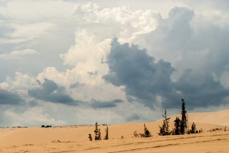 Dunes and white blue cumulus clouds Vietnamの写真素材
