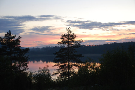 Forest and river under skyの写真素材