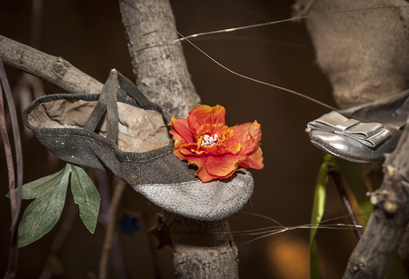 shoe and flower and ribbons on treeの写真素材