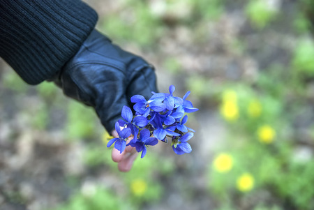 fragrant violets and the medical flowers bouquetの写真素材