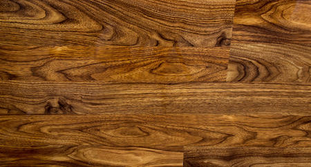The Old Wood Tree Texture Background Patternの写真素材