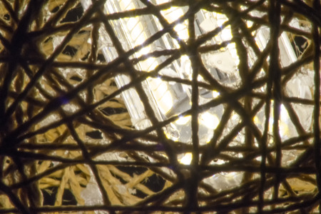 Chaotic plexus strands ropes light source backgroundの写真素材