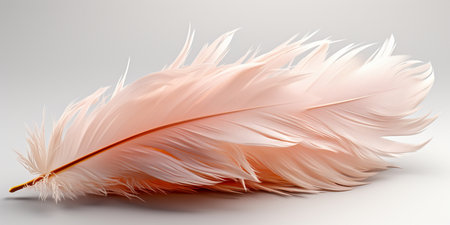 One beautiful 3D feather in delicate bedding shades isolated on white backgroundの素材