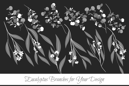 Rustic Decorative Plants Collection. Hand Drawn Eucalyptus Leaves Isolated. Vector EPS10 Illustration. Botanical Elements. Exotic Tropical Foliage and Flowers. Decorative Plants Set for Wedding Designのイラスト素材