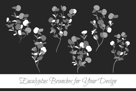 Rustic Decorative Plants Collection. Hand Drawn Eucalyptus Leaves Isolated. Vector EPS10 Illustration. Botanical Elements. Exotic Tropical Foliage and Flowers. Decorative Plants Set for Wedding Designのイラスト素材