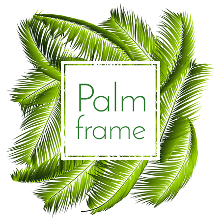 Palm Leaves Isolated. Realistic Branches Set. Vector Tropical Foliage. Floral Elements. Illustration of Jungle Plants. Tropic Palm Leaves for Pattern, Wallpaper, Print, Fabric, Textile or Your Design.のイラスト素材