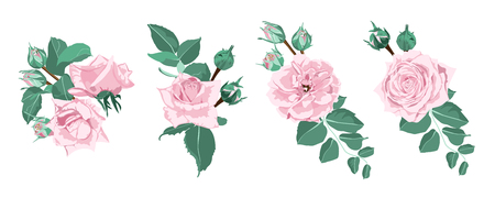 Watercolor Floral Set, Vector Roses. Wedding Card Design in Rustic Style. Vintage Floral Bouquet with Pink Roses, Green Leaves. Set of Elegant Summer Flowers for Greeting. Wreath of Floral Elements.のイラスト素材