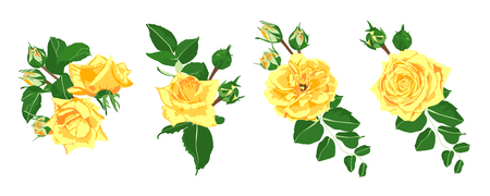 Floral Set, Wedding Rose Bouquet. Vector Yellow Flowers with Green Leaves. Vintage Floral Collection for Card or Invite Design. Hand Drawn Watercolor Decorative Elements. Romantic Spring Floral Set.のイラスト素材