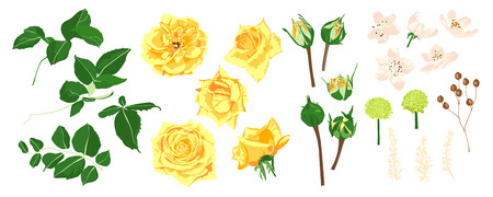 Floral Set, Wedding Rose Bouquet. Vector Yellow Flowers with Green Leaves. Vintage Floral Collection for Card or Invite Design. Hand Drawn Watercolor Decorative Elements. Romantic Spring Floral Set.のイラスト素材
