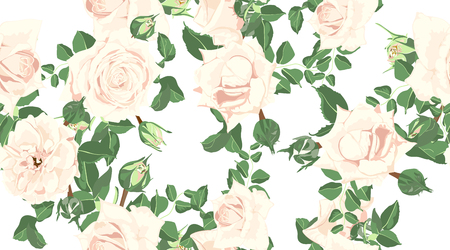 Wedding Card Design, Floral Pattern, Vector Rose in Pastel Colors. Vintage Flowers in Watercolor Style. Seamless Roses Background for Card, Invitation, Fabric. Spring or Summer Bouquet, Post Card.のイラスト素材