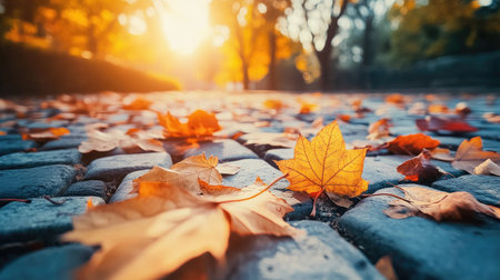 A stunning view of vibrant autumn leaves scattered on a cobblestone pathway, illuminated by warm sunlight, capturing the serene beauty of nature's seasonal transformation.の素材