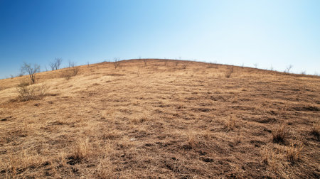A barren hillside with dry shrubs and no trees, the result of prolonged dry season conditions.の素材