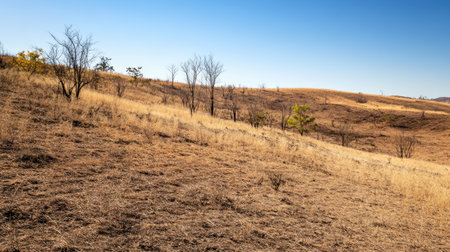 A barren hillside with dry shrubs and no trees, the result of prolonged dry season conditions.の素材