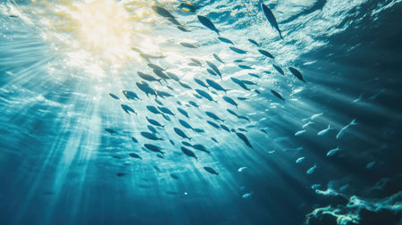 Underwater shot of a school of small sea fish darting through the clear blue ocean, creating a lively and dynamic sceneの素材