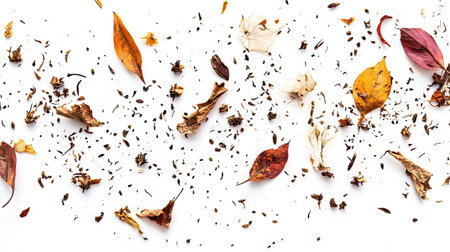 A beautiful arrangement of dried plant elements scattered on a clean white background, showcasing textures and colors ideal for artistic or natural-themed projects.の素材