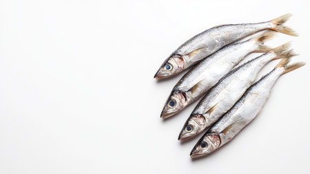 A beautiful arrangement of fresh fish displayed on a simple white background, highlighting their natural texture and features, perfect for culinary presentations.の素材