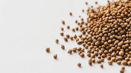 A close-up view of dried coriander seeds showcasing their rich texture and natural color, perfect for culinary use, food photography, and spice collections.の素材