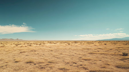 Dry desert field with sparse vegetation, providing ample sky space for text above.の素材
