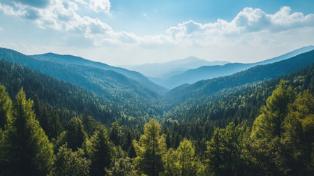 Top view of a forested mountain range with a wide expanse of sky above, creating a perfect background with copy space for text or logos.の素材
