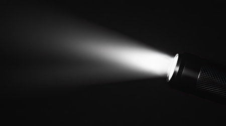A detailed view of a flashlight beam cutting through the darkness, with the bright, focused light creating a sharp contrast against the black background.の素材
