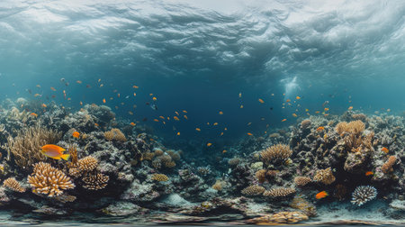 Explore a stunning panoramic view of a thriving coral reef filled with vibrant marine life. Experience the beauty and diversity beneath the waves.の素材