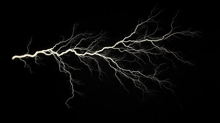 Stunning image of a lightning bolt with complex branches, isolated on a black background to emphasize the dramatic and striking features of the storm.の素材