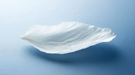 A close-up of a white rose petal with a natural gradient, offering negative space for copy.の素材