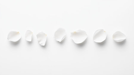 A minimalist arrangement of white rose petals on a plain white background with negative space.の素材