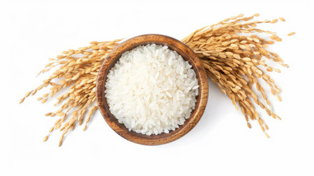 White Jasmine rice in a wooden bowl with paddy rice and an ear of rice, captured from top view, isolated on white. Great for food and agriculture promotions.の素材