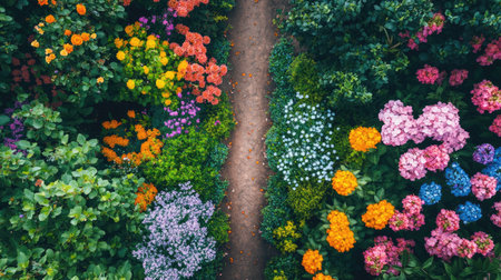 Top view of a garden path lined with colorful flowers in full bloom.の素材