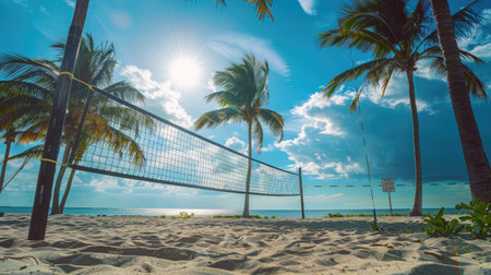 A beach volleyball net set up between palm trees, ready for a fun and active summer vacation day.の素材