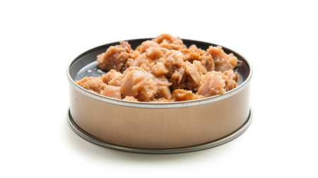 Single serving of wet cat food in a small tin can, isolated on whiteの素材