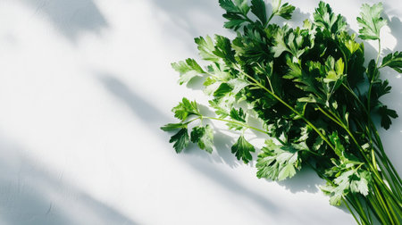 A vibrant bunch of fresh green parsley with rich leaves, set against a clean white background. Perfect for culinary and food-related themes.の素材