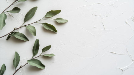 Showcase a serene arrangement of green leaves on a textured white background, perfect for themes of nature, calm, and minimalistic design.の素材