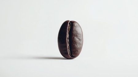 A detailed view of a single, isolated coffee bean on a stark white background, showcasing its rich texture and natural qualities perfect for food or beverage themes.の素材
