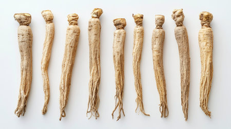 Flat lay of dried ginseng roots arranged artistically on a white background. The rugged natural forms stand out against the clean and bright backdrop.の素材