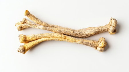 Minimalist top view of dried ginseng roots isolated on a white background. The organic texture and earthy colors are the focal point against the stark white surface.の素材