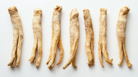 Overhead shot of multiple dried ginseng roots arranged on a white background. The simplicity highlights the organic texture and form of the roots.の素材