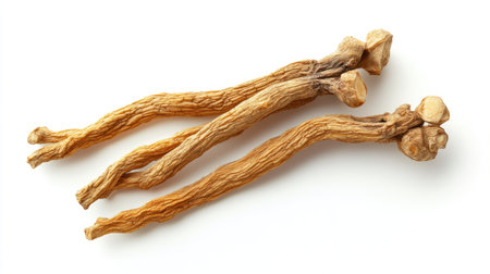 Isolated image of dried ginseng roots on a white background. The top view showcases the twisting forms and natural hues of the traditional medicinal herb.の素材