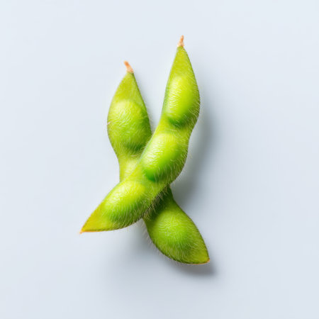 Two fresh green edamame pods rest against a soft blue background, showcasing vibrant colors and textures perfect for promoting healthy eating or plant-based dishes.の素材
