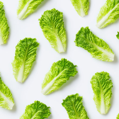 A vibrant display of fresh green lettuce leaves arranged neatly against a clean white background, ideal for healthy food themes and culinary creativity.の素材