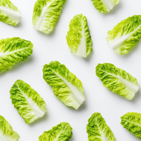 A visually appealing arrangement of fresh romaine lettuce leaves showcases vibrant green tones, perfect for healthy recipes, salads, and culinary decoration.の素材