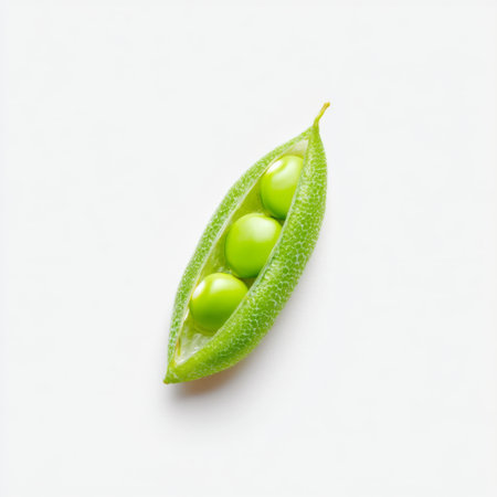 A vibrant fresh green pea pod showcasing three peas on a clean white background. Perfect for illustrating healthy eating, nutrition, and cooking inspiration.の素材