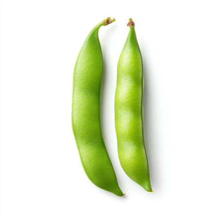 Two fresh green edamame pods isolated on a white background highlight their vibrant color and natural appeal, perfect for promoting healthy eating choices.の素材