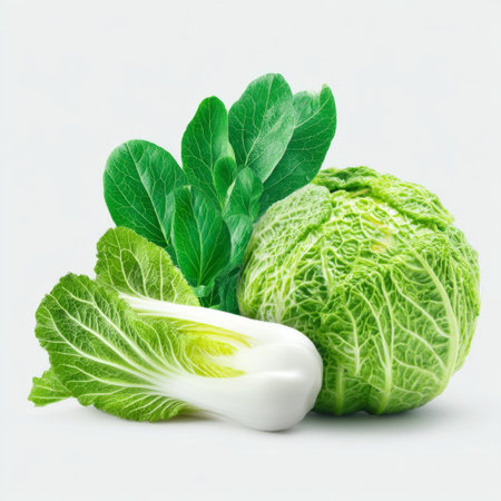A collection of fresh green cabbage heads and bok choy arranged beautifully on a light background. Ideal for promoting healthy eating and culinary creativity.の素材