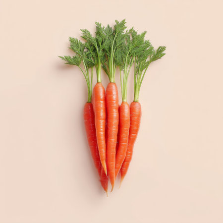 A bright bunch of fresh carrots with green tops stands upright against a subtle background, ideal for promoting healthy eating and nutrition themes.の素材