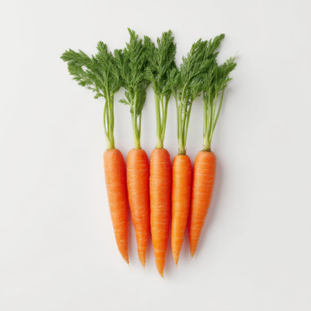A vibrant group of fresh orange carrots with green leaves arranged on a clean white background. Ideal for concepts related to healthy eating, cooking, and organic gardening.の素材
